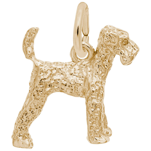 Rembrandt Charms, Airedale Dog
