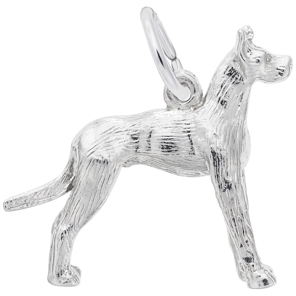 Rembrandt Charms, Great Dane Dog