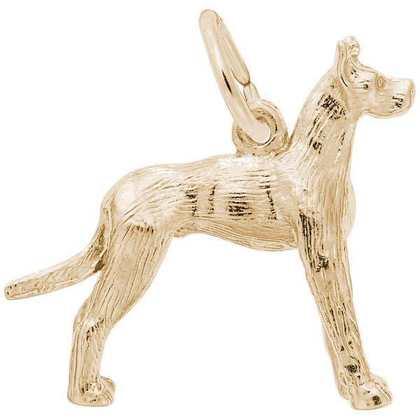 Rembrandt Charms, Great Dane Dog