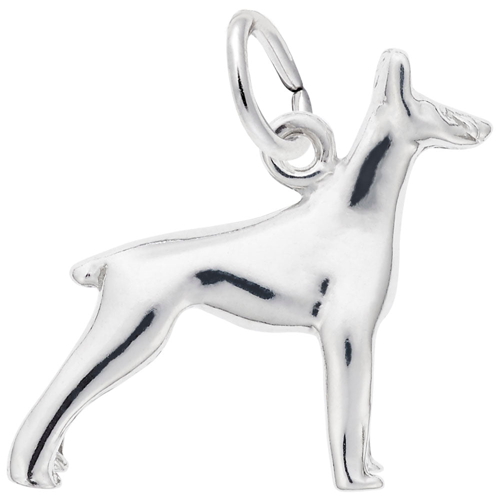 Rembrandt Charms, Doberman Dog