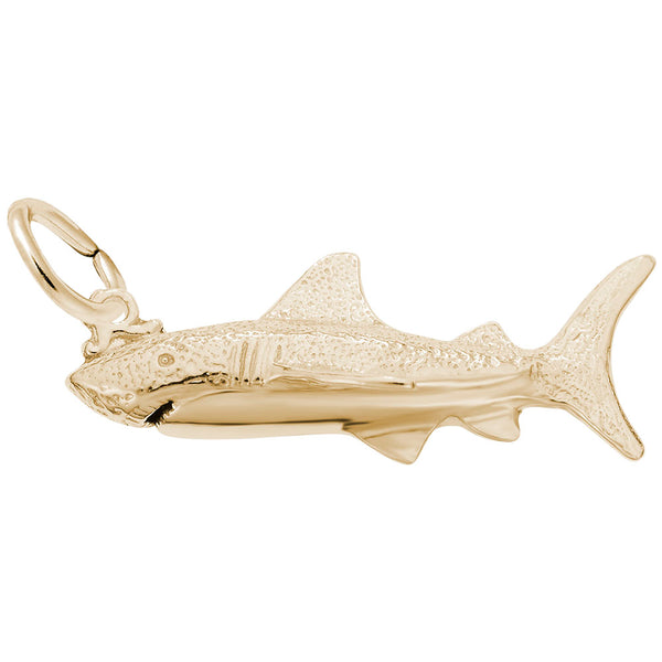 Rembrandt Charms, Great White Shark