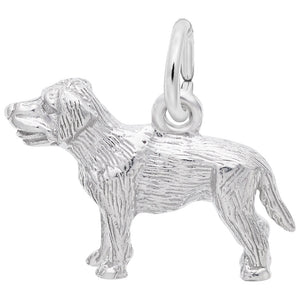 Rembrandt Charms, Labrador Retiever Small Dog