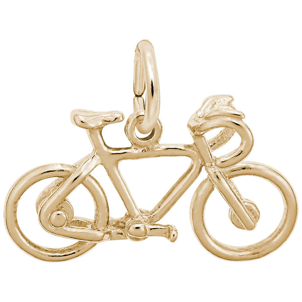 Rembrandt Charms, Road Bike