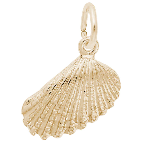 Rembrandt Charms, Angel Wing Shell