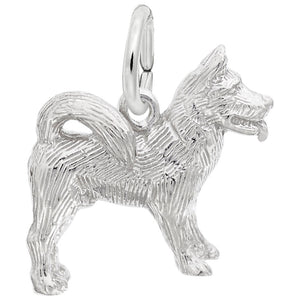 Rembrandt Charms, Akita Dog