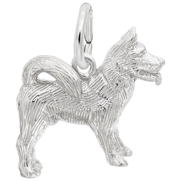 Rembrandt Charms, Akita Dog